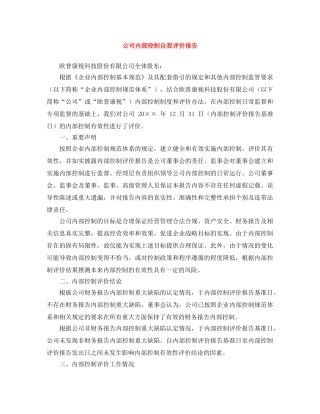 公司内部控制自我评价报告 