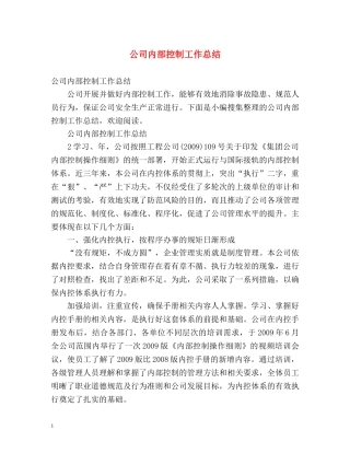 公司内部控制工作总结 
