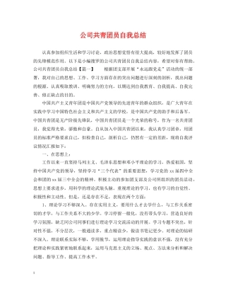 公司共青团员自我总结 