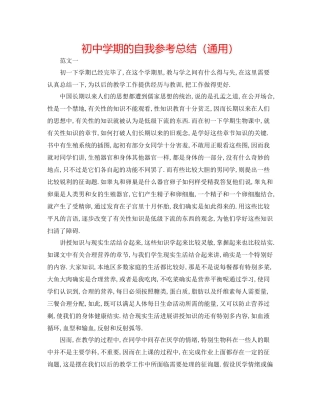 初期的自我参考总结（通用）