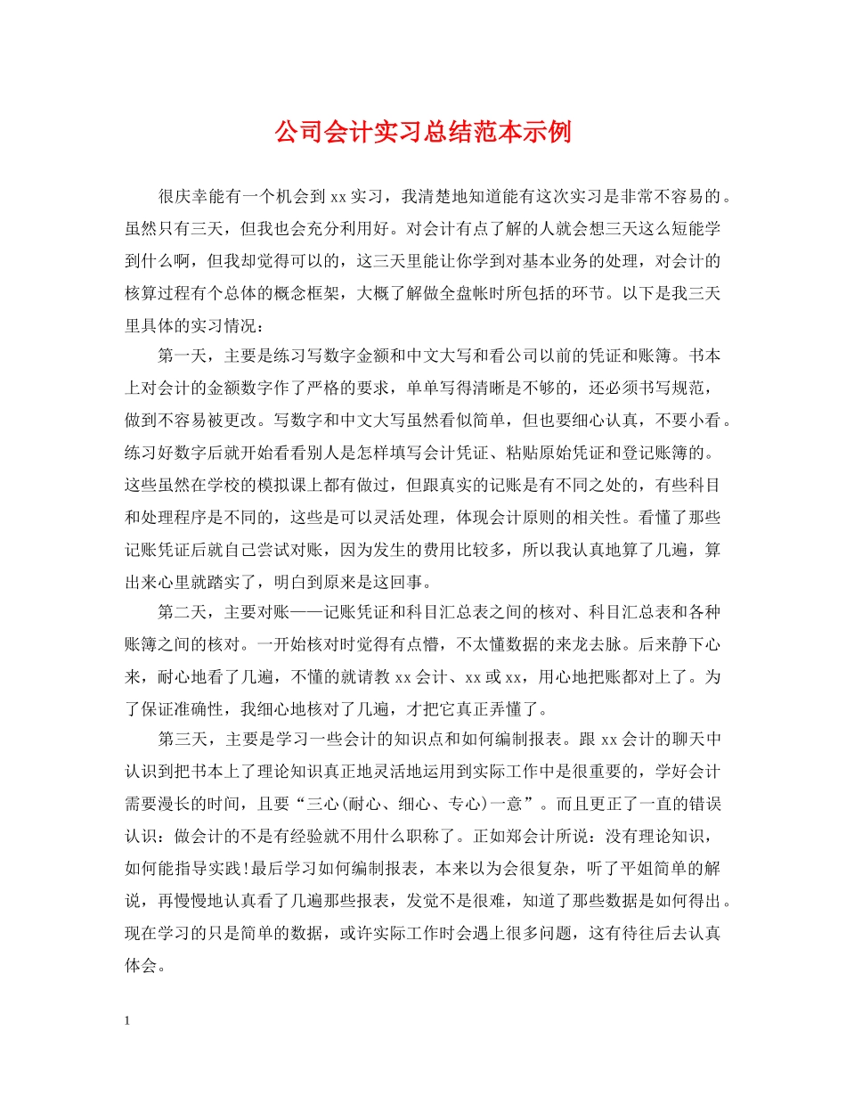 公司会计实习总结范本示例 _第1页