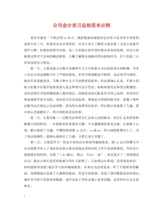 公司会计实习总结范本示例 