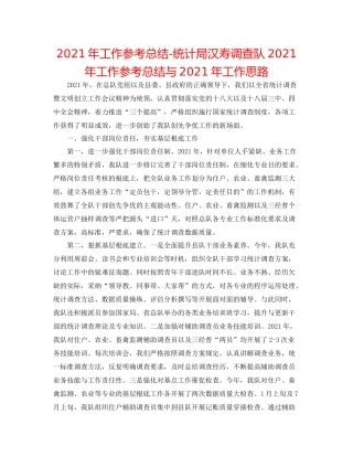 2021年工作参考总结统计局汉寿调查队年工作参考总结与年工作思路
