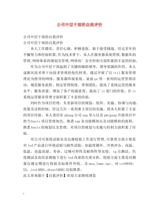公司中层干部的自我评价 