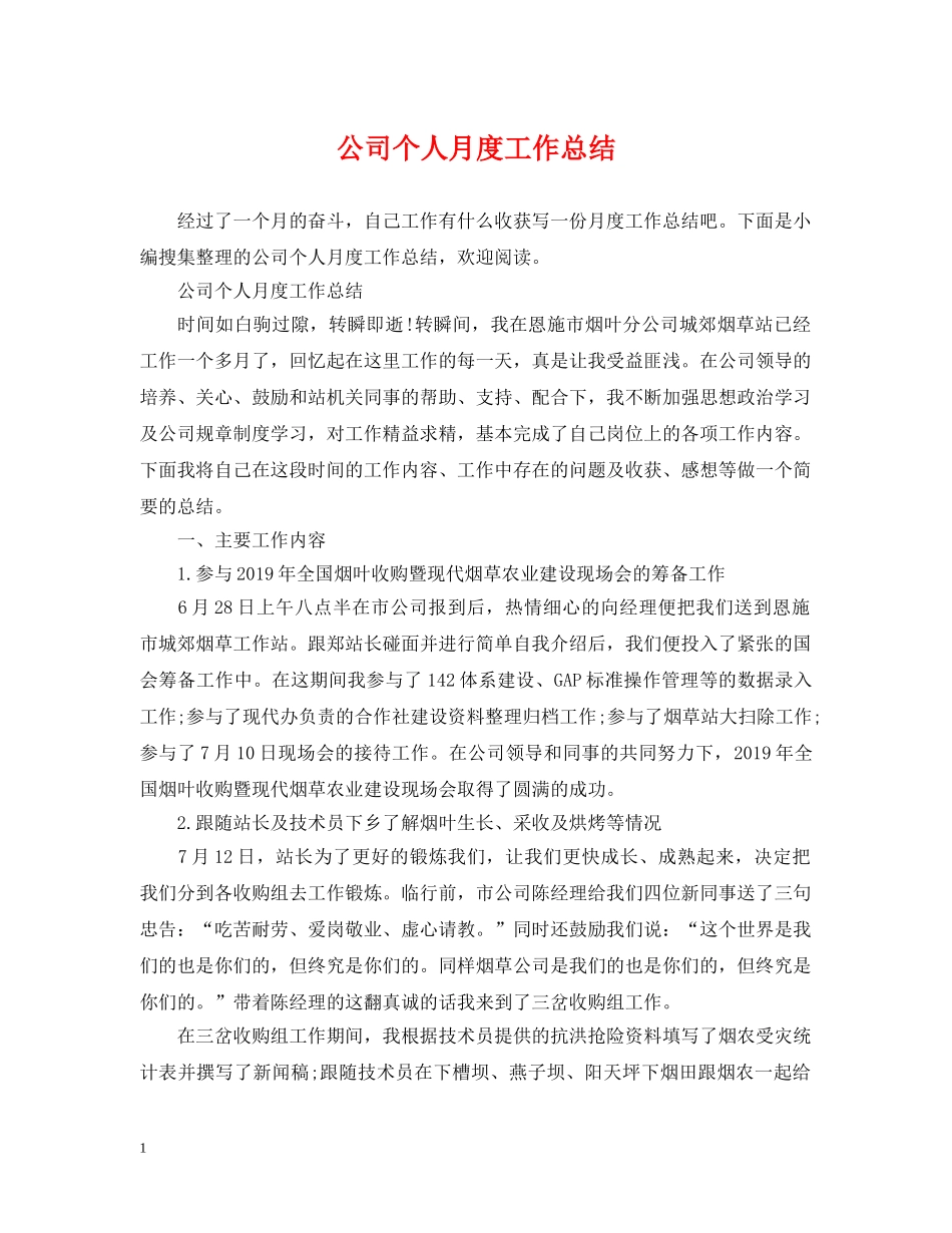 公司个人月度工作总结 _第1页