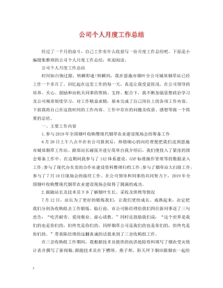 公司个人月度工作总结 