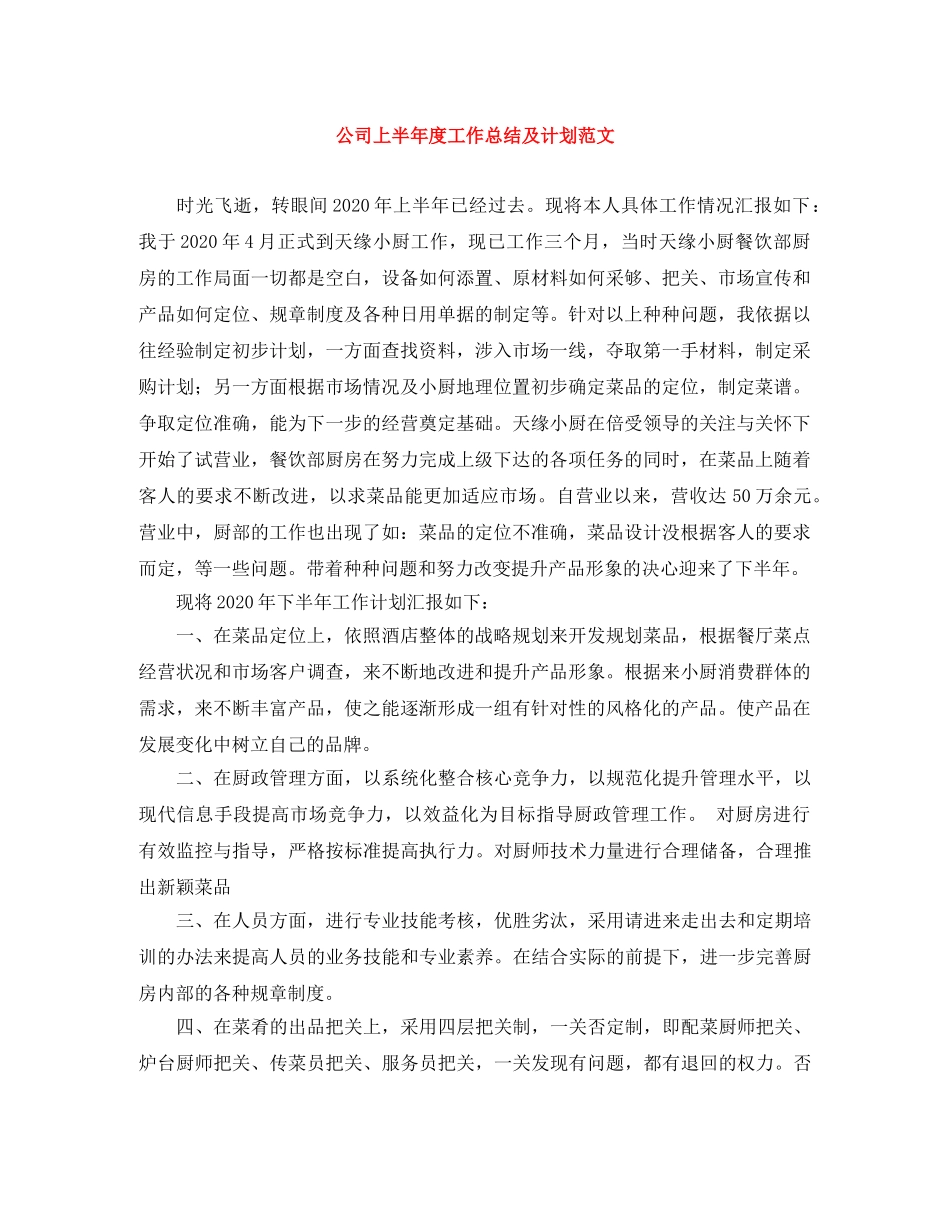 公司上半年度工作总结及计划范文 _第1页