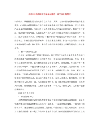 公司FAE的年终工作总结与新的一年工作计划范文 