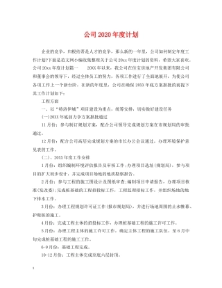 公司2020年度计划 