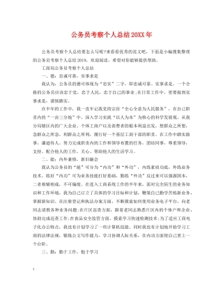 公务员考察个人总结20XX年 