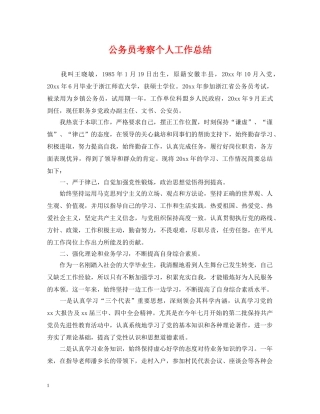 公务员考察个人工作总结2 