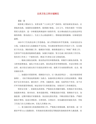 公共卫生工作计划例文 