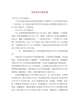 公共卫生工作计划 