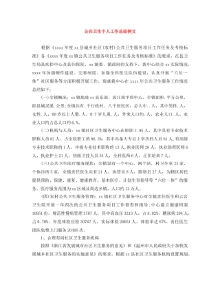 公共卫生个人工作总结例文 