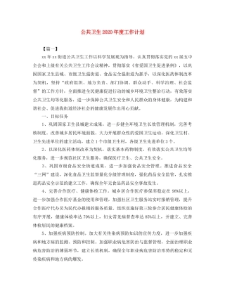 公共卫生2020年度工作计划 
