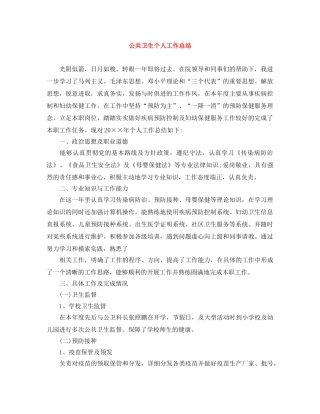 公共卫生个人工作总结 