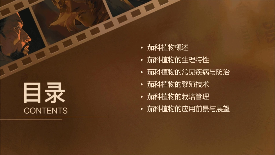 茄科植物的外科手术课件_第2页