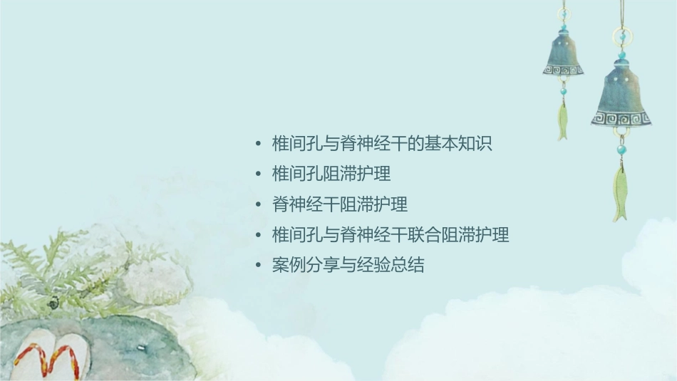 椎间孔与脊神经干阻滞关系护理课件_第2页
