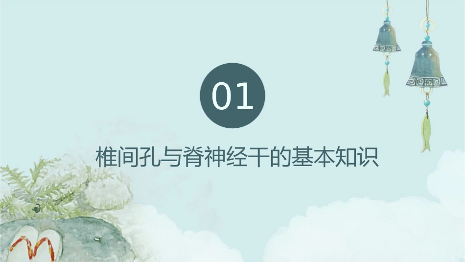 椎间孔与脊神经干阻滞关系护理课件_第3页