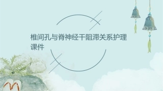 椎间孔与脊神经干阻滞关系护理课件