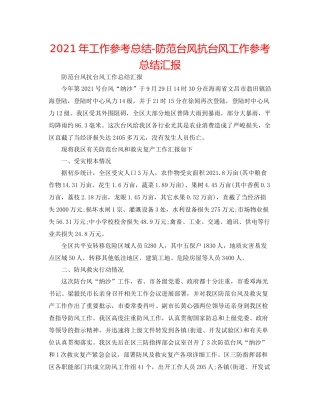 2021年工作参考总结防御台风抗台风工作参考总结汇报