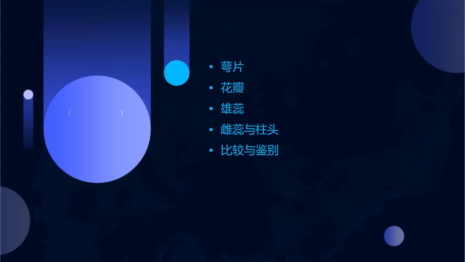 萼片花瓣雄蕊以及雌蕊的柱头课件_第2页