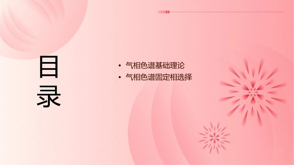 第四节气相色谱基础理论和分析条件的选择详解课件_第2页