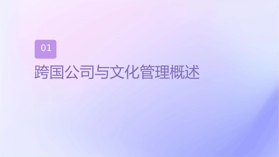 跨国公司的文化管理课件_第3页