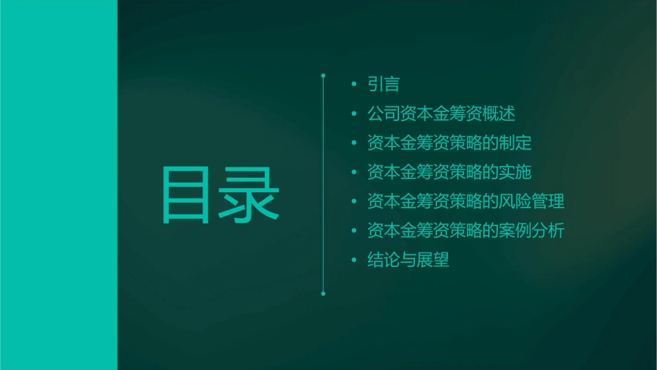 某公司资本金筹资策略课件_第2页
