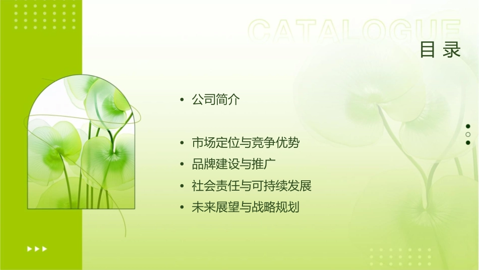 蓝月亮全面清洁方案的提供者(修改)课件_第2页