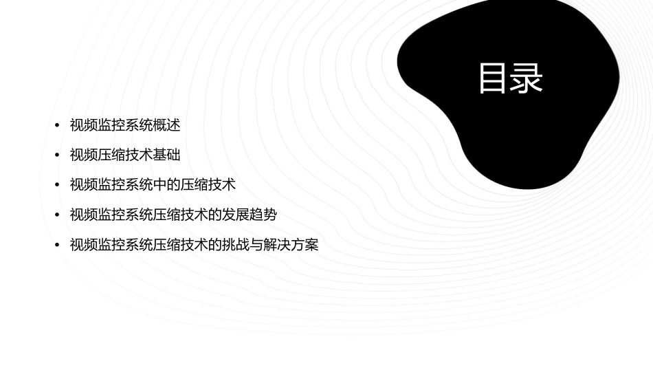视频监控系统(压缩)讲述资料课件_第2页