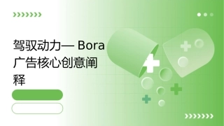 驾驭动力—BORA广告核心创意阐释课件