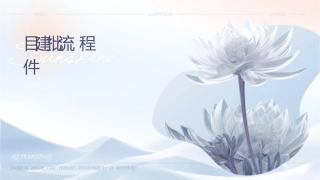 项目建设审批流程课件