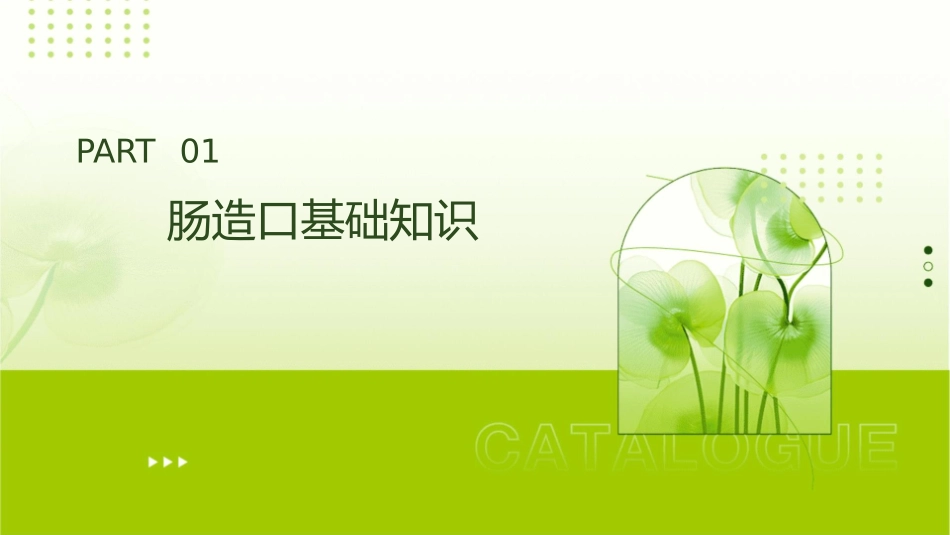 肠造口教学护理课件_第3页