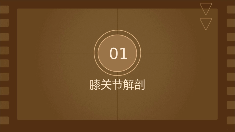 膝关节解剖与关节镜手术配合护理课件_第3页