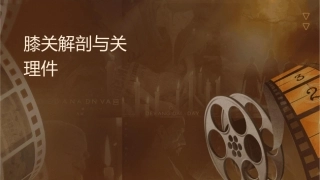 膝关节解剖与关节镜手术配合护理课件