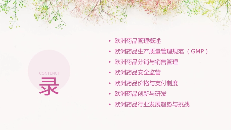欧洲药品管理简介DH详解护理课件_第2页