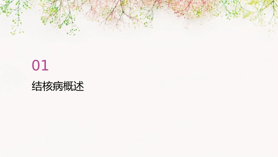 结核病防治宣讲——南口医院马振儒课件_第3页