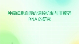 肿瘤细胞自噬的调控机制与非编码RNA的护理研究