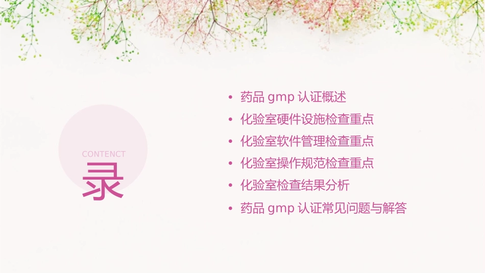 药品GMP认证化验室检查重点全解课件_第2页