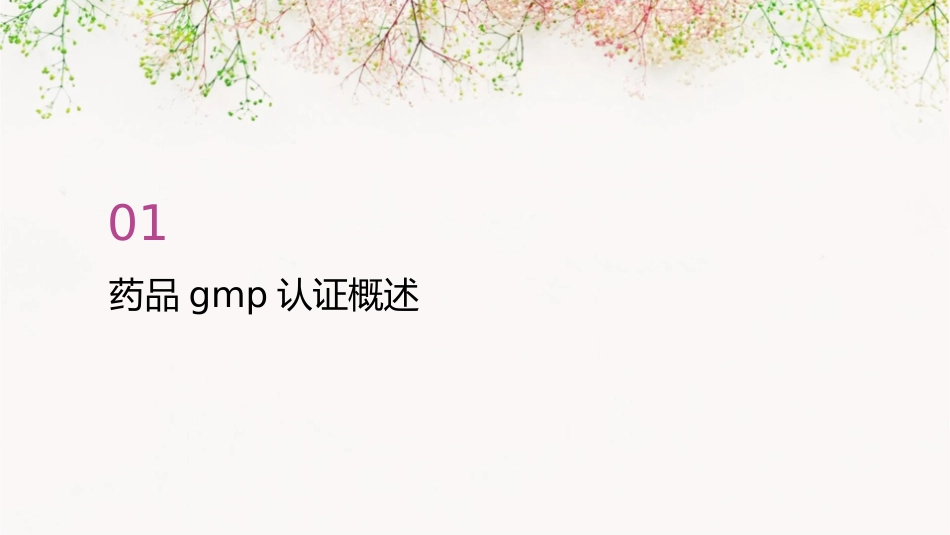 药品GMP认证化验室检查重点全解课件_第3页