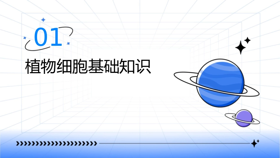 试验一植物细胞课件_第3页