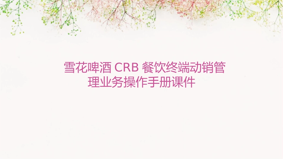 雪花啤酒CRB餐饮终端动销管理业务操作手册课件_第1页