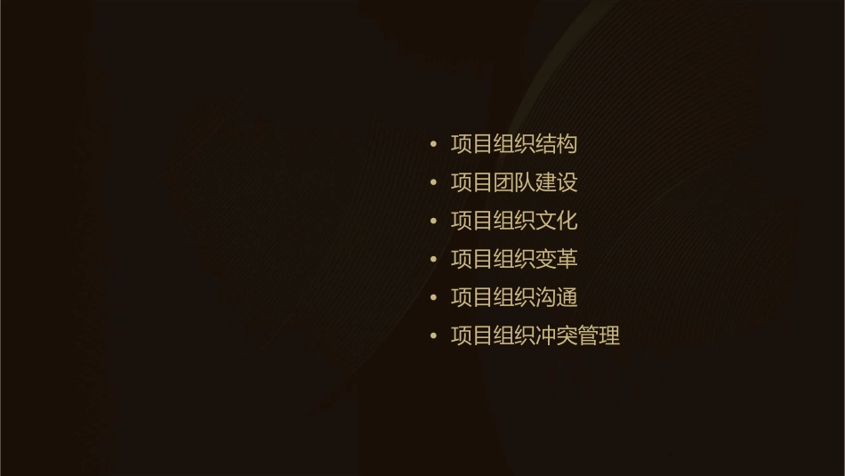 项目管理师备考资料项目组织概论课件_第2页