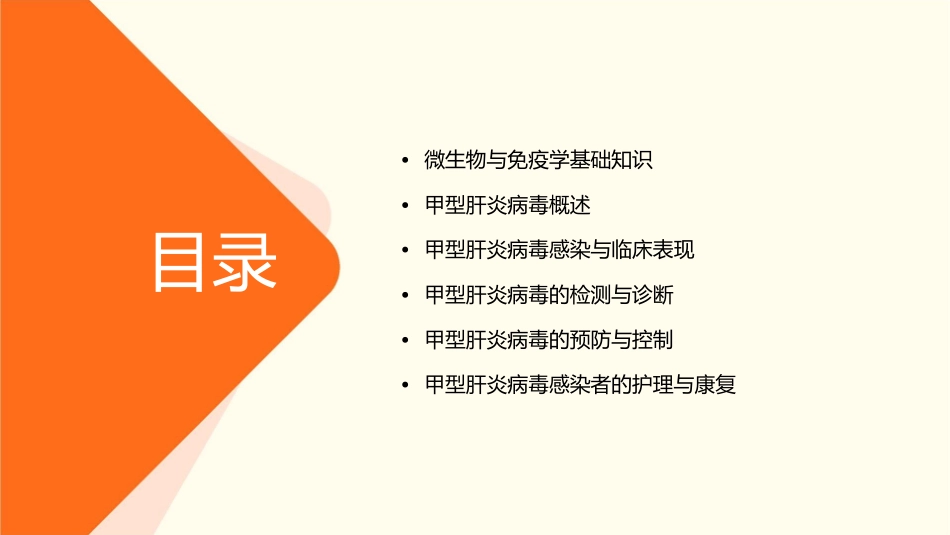 微生物与免疫学 肝炎病毒甲型肝炎病毒护理课件_第2页
