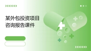 某外包投资项目咨询报告课件