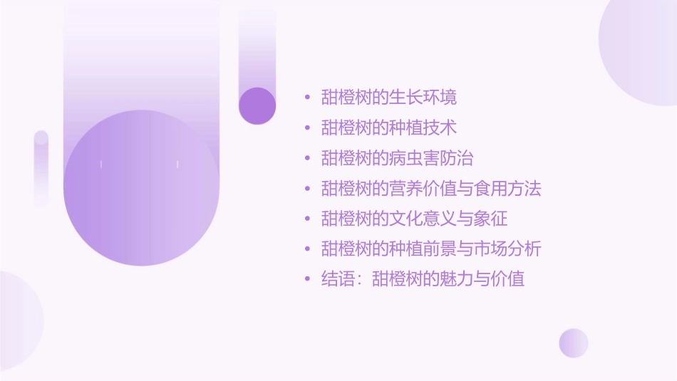 我亲爱的甜橙树课件_第2页