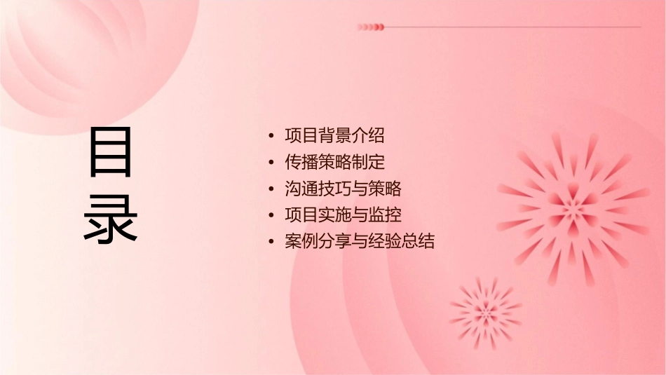 金河社区项目传播策略沟通课件_第2页