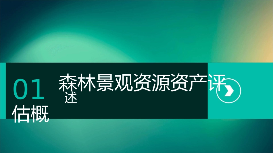 森林景观资源资产评估运作技巧课件_第3页