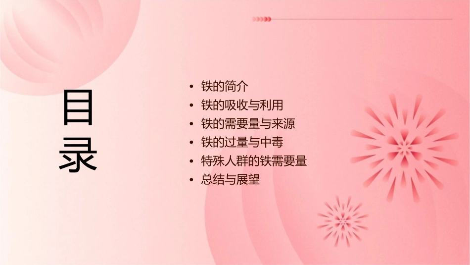 铁的生理需要量概要课件_第2页